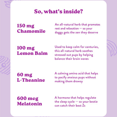 Calming Health Supplement for Dogs