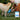 Recovering from diarrhea - Native Pet Probiotic & Prebiotic Vet-Formulated Powder Digestive Supplement for Dogs