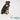 A stylish black dog sitting beside the Found My Animal azure rope dog leash, showcasing its vibrant blue, yellow, and green colors with premium brass hardware