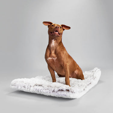 Arctic Shag Cozy Mat