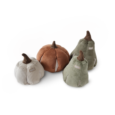 CINDERELLA//ENRICHMENT DOG TOY//Halloween