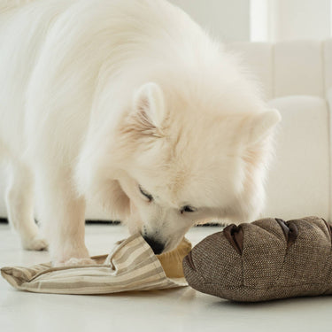 RYE //ENRICHMENT DOG TOY