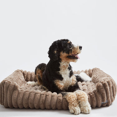 Corduroy Taupe Big Dog XL Ortho Lounge