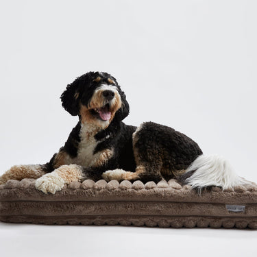 Corduroy Taupe Big Dog XL Ortho Pillow