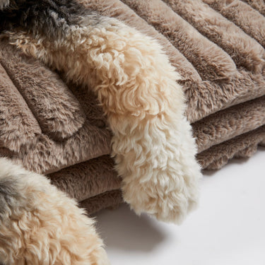 Corduroy Taupe Big Dog XL Ortho Pillow