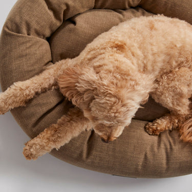 Warby Beige Donut Bed