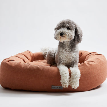 Warby Terracotta Donut Bed