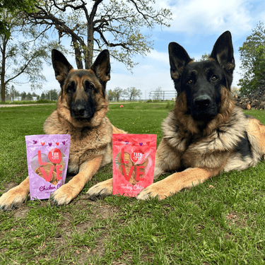 Puppy Love Dog Treat | Poultry Treat Variety Pack