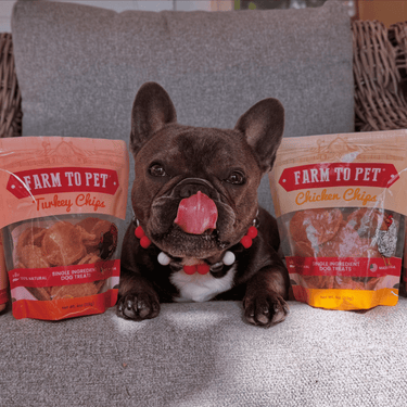 Turkey & Chicken Chip Dog Treat Duo | Single-Ingredient Poultry Treats for Dogs