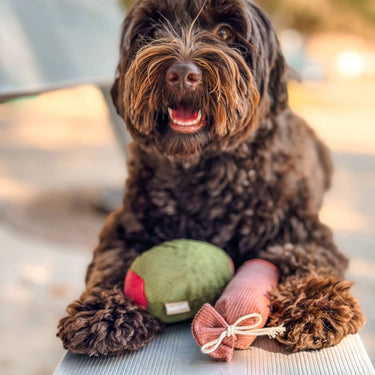 Olive + SALAMI//ENRICHMENT DOG TOY