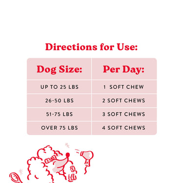 Bocce's Bakery Skin & Coat Food Supplement for Dogs