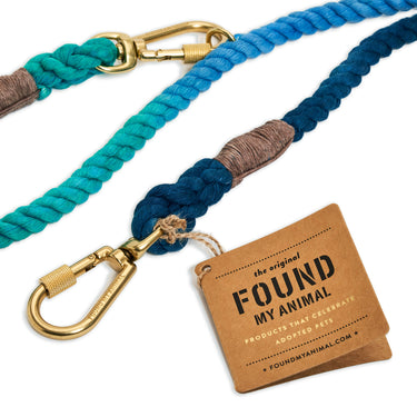 Leash & Collar Bundle + Dog Pouch