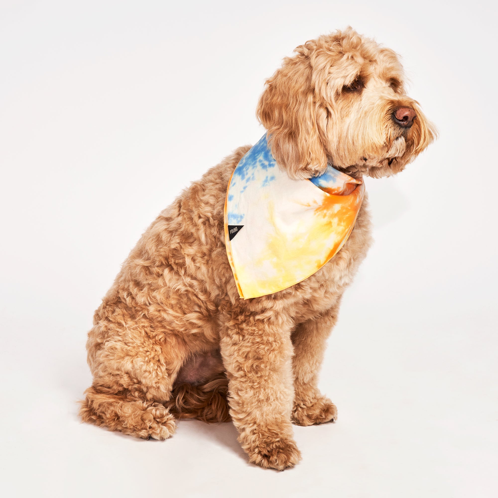 Found My Animal Bandana: Adding Style to Your Pup - Offers Hiệu Quả 2 Bandanas for All Sizes