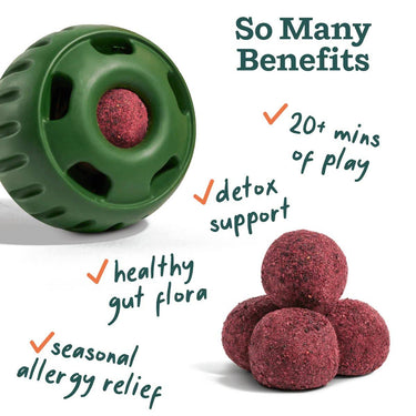 Healthy Lickables - Pupsicle Refill pops for Allergy Support