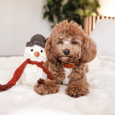 SNOWMAN//ENRICHMENT DOG TOY // HOLIDAY