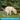 Great product for pets - Native Pet Probiotic & Prebiotic Vet-Formulated Powder Digestive Supplement for Dogs