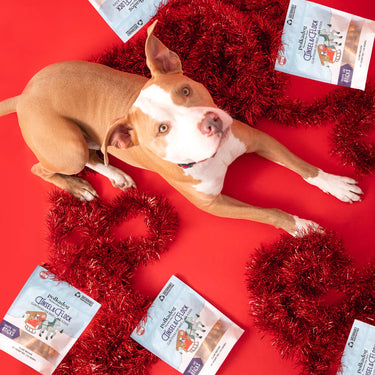 Holiday Pouch: Tinsel & Flock (Clam) - 5oz