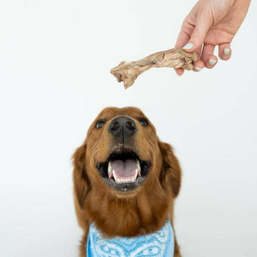 Bison Tendon Chews