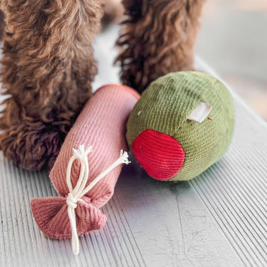 Olive + SALAMI//ENRICHMENT DOG TOY