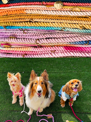 Pet Products and Supplies at Great Prices | Found My Animal