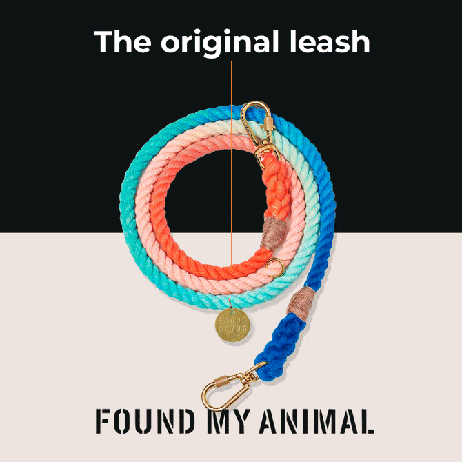 Order Status Found My Animal