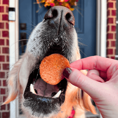 Turkey Feast Chips
