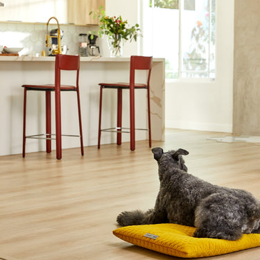 Bumble Chartreuse Cozy Mat