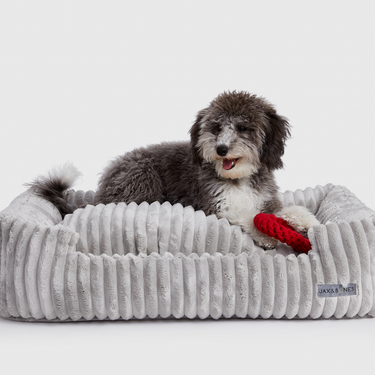 Luna Grey Lounge Bed