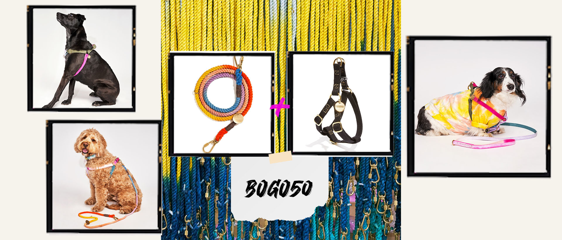 FOUND MY ANIMAL™ Official Site Found My Animal