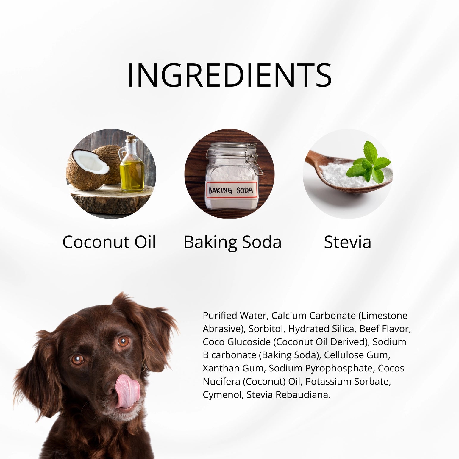 Baking soda and water dog toothpaste outlet
