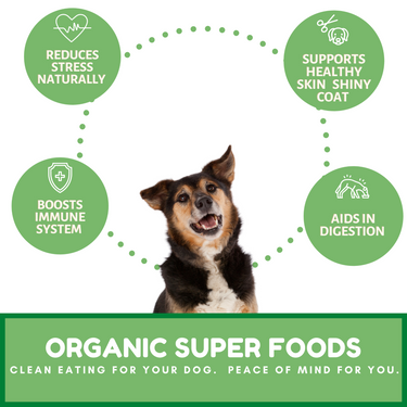 Dog Mamma's Organic Sweet Potato & Kale Recipe - USDA Organic Certified Dog Treats