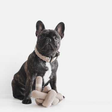 NOUNOU | tan with crinkle clusters//ENRICHMENT DOG TOY