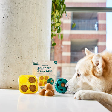 Pupsicle Treat Mix - Balanced Belly
