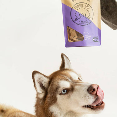 Berry Boost Bones - Winnie Lou - The Canine Company