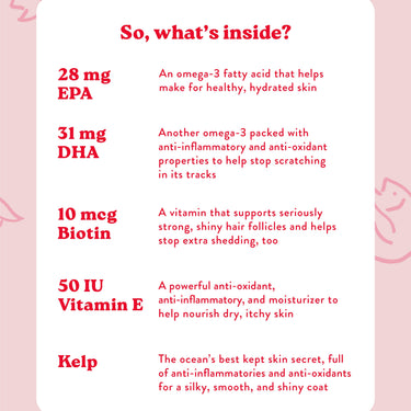 Bocce's Bakery Skin & Coat Food Supplement for Dogs