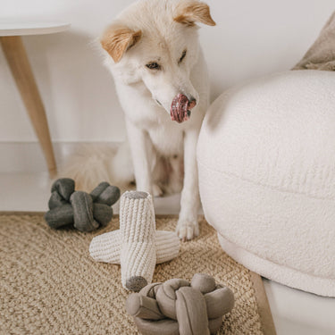 NOU//TAN//ENRICHMENT DOG TOY
