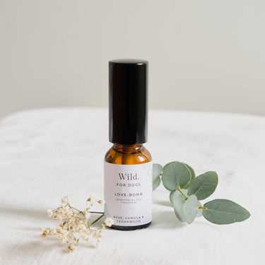 Love-Bomb Dog Fragrance