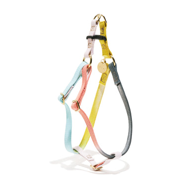 "Handmade Claude Cotton Rope Dog & Cat Harness – Stylish, Durable, and Adjustable | Found My Animal"
