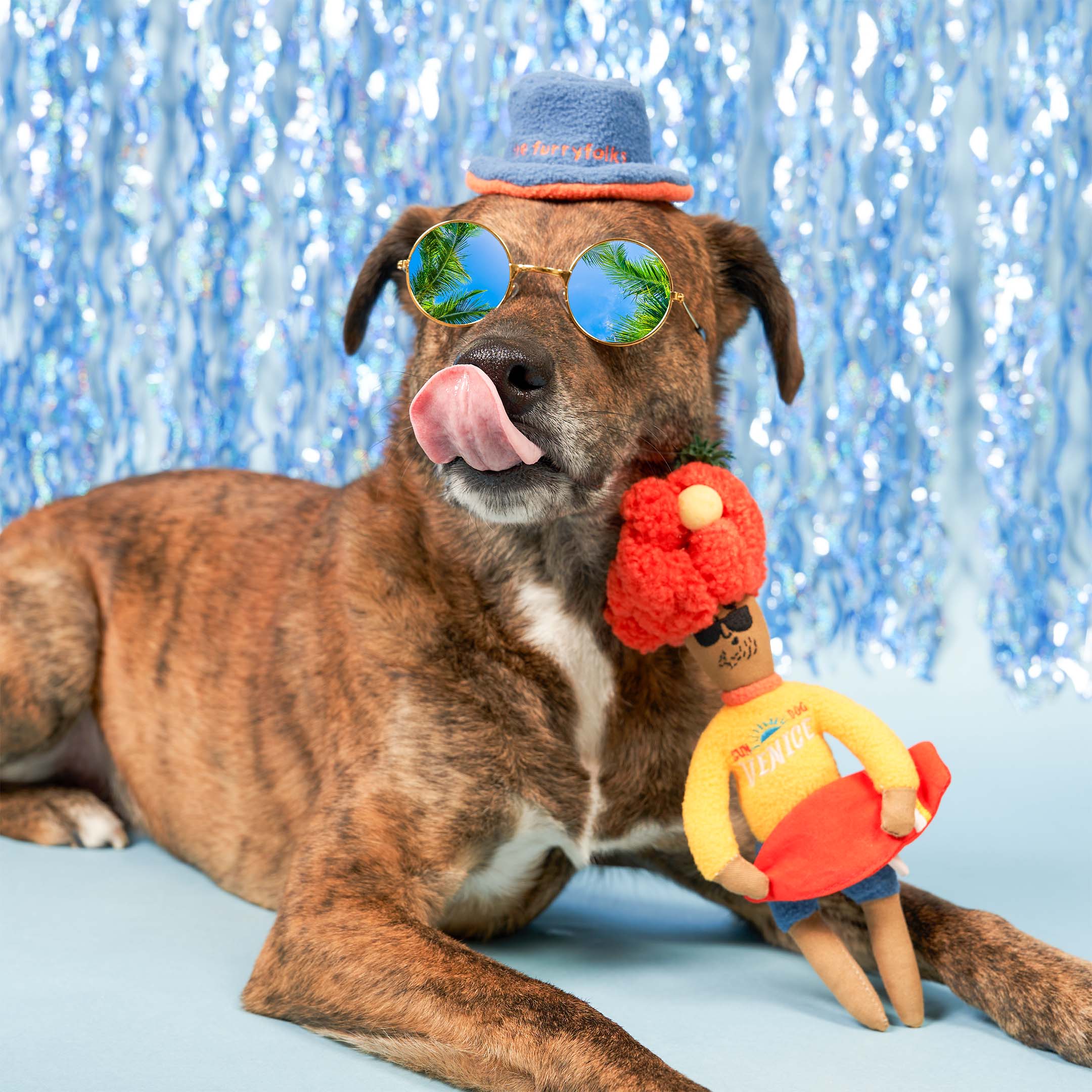 What Makes Found My Animal Stand Out in the Market? 3 Found My Animal Leash