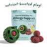 Wellness product for pets - Pupsicle Refill pops for Allergy Support