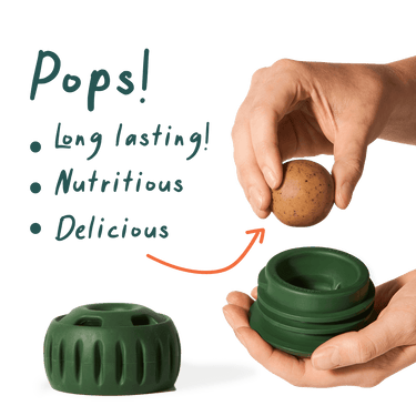 Woof Pupsicle Pops Refills Chicken Grain-Free Lickable Dog Treats, Dog products, Dog leash