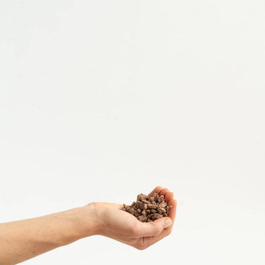 A close-up of a human hand holding a Bison Liver Tidbit, showcasing its size and texture.