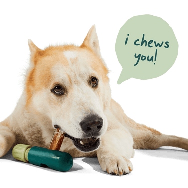 Highly nutrients chewable sticks - BullySafe Chews - Pure Collagen