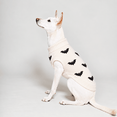 New Arrivals – Found My Animal New Arrivals – Found My Animal