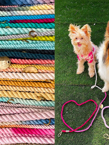 Pet Products and Supplies at Great Prices | Found My Animal