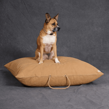 Best Sellers – Found My Animal