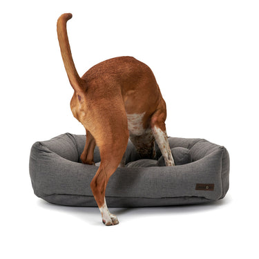 Lark Graphite Napper Bed