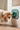 LickMatDog TreatsFound My AnimalPurple