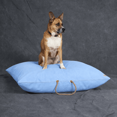 Best Sellers – Found My Animal