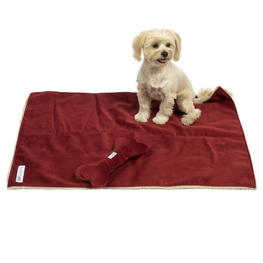 Blanket and Bone Toy Set- Spa Tomato